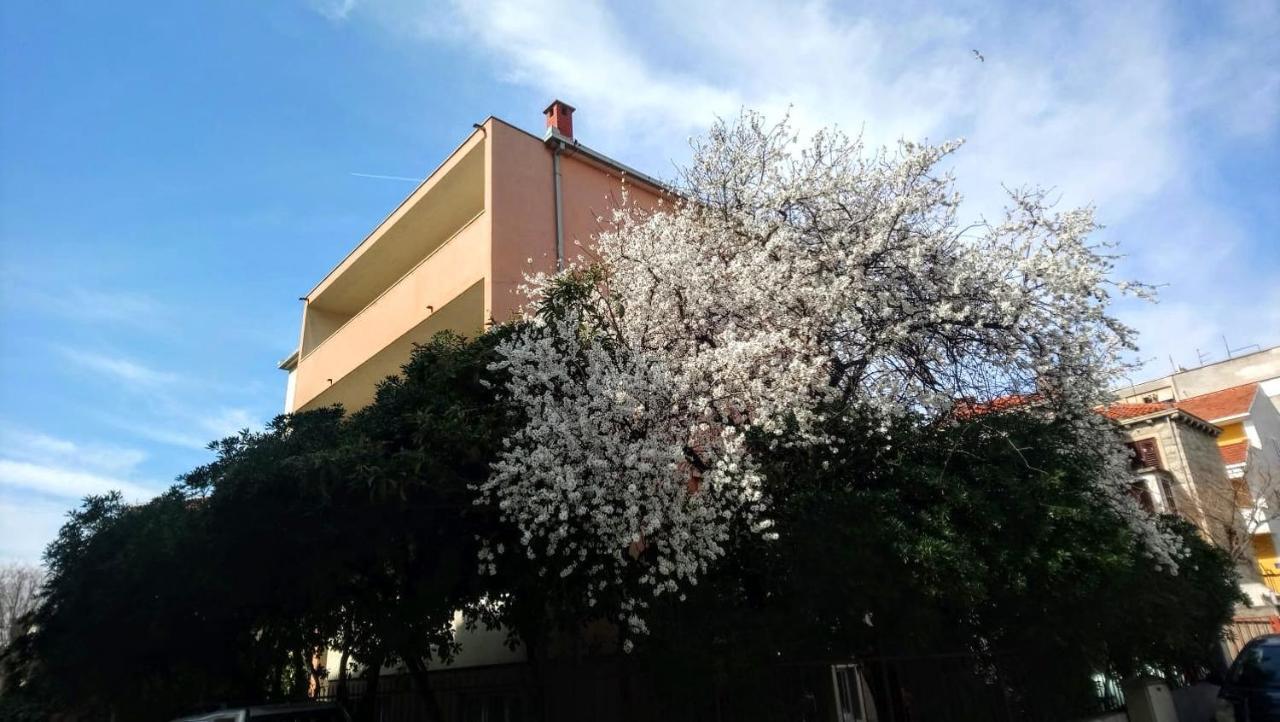 Split Symphony Veranda: Modern, New Apartment Екстер'єр фото